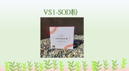 VS1-SOD純粉